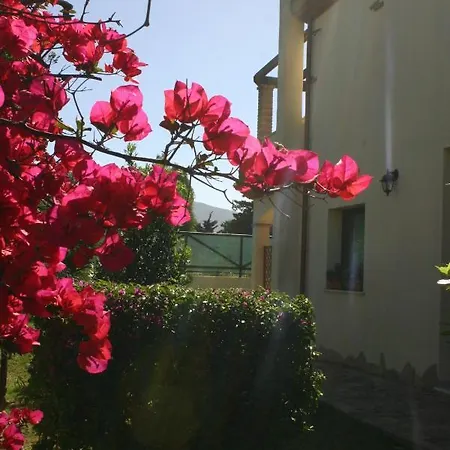 Menta Fiorita * 弗里米尼迪夸尔图