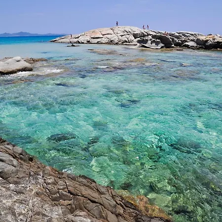 Menta Fiorita Flumini di Quartu